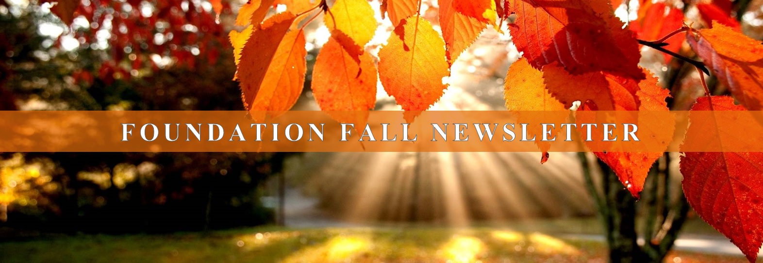 Sainte Marie Foundation