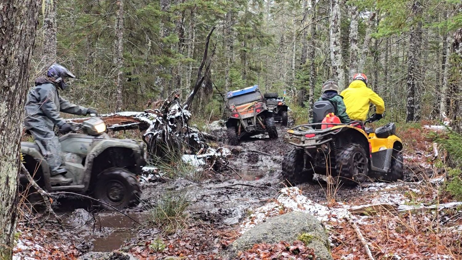 ATVs navigating a wooded trail