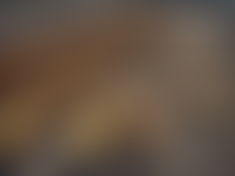 Efficient Contractors' Choice for Dump Trucking in BC