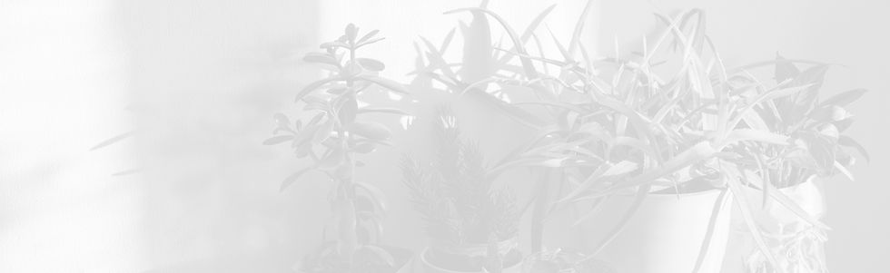 AdobeStock_408295047_edited.jpg