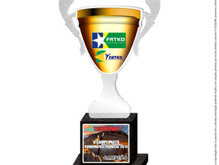 II CAMPEONATO RONDONIENSE DE POOMSAE DA FRTKD- 2014