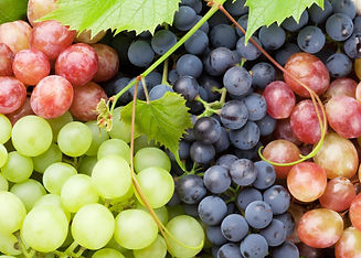 grapes_0.jpg