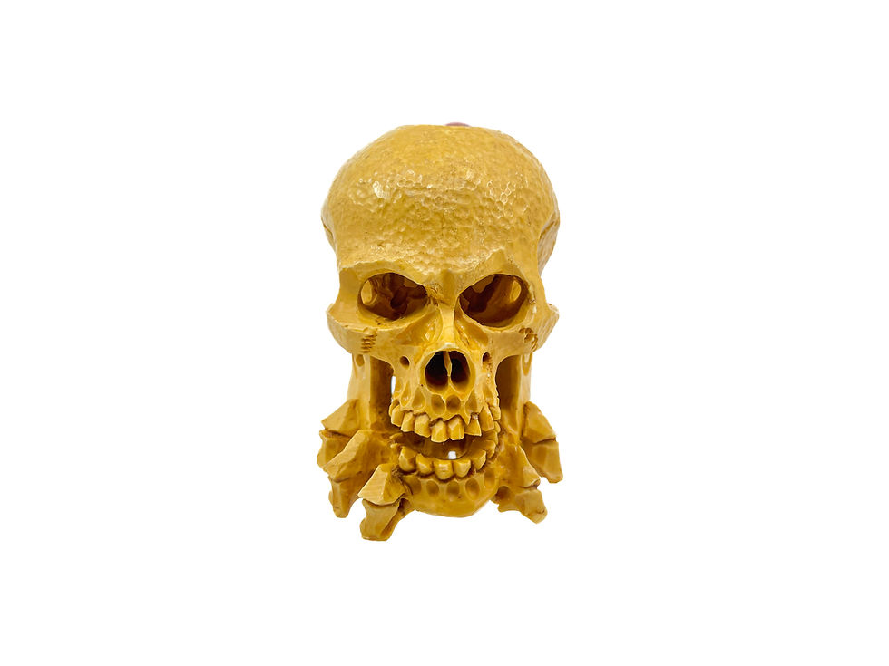 Thumbnail: S. Yanik Meerschaum Pipe Hand Carved Skull Smoking Pipe with SPC Case Model 6