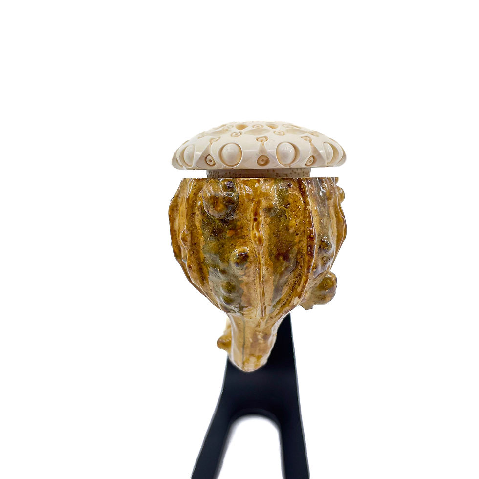Thumbnail: Calabash