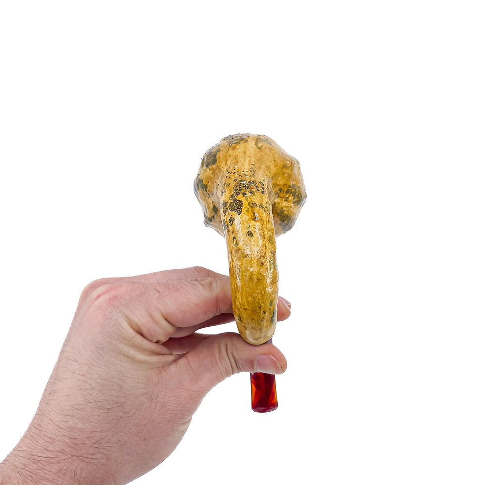 Thumbnail: Calabash
