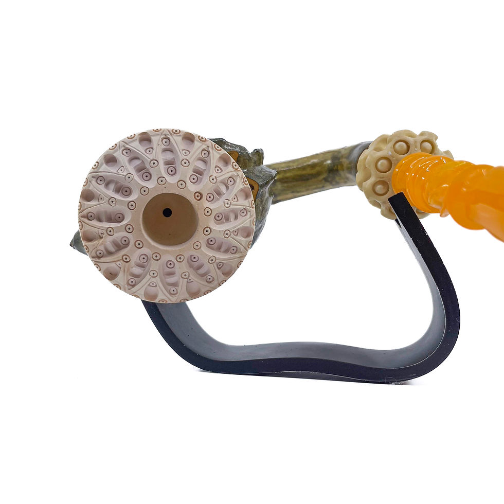 Thumbnail: Calabash