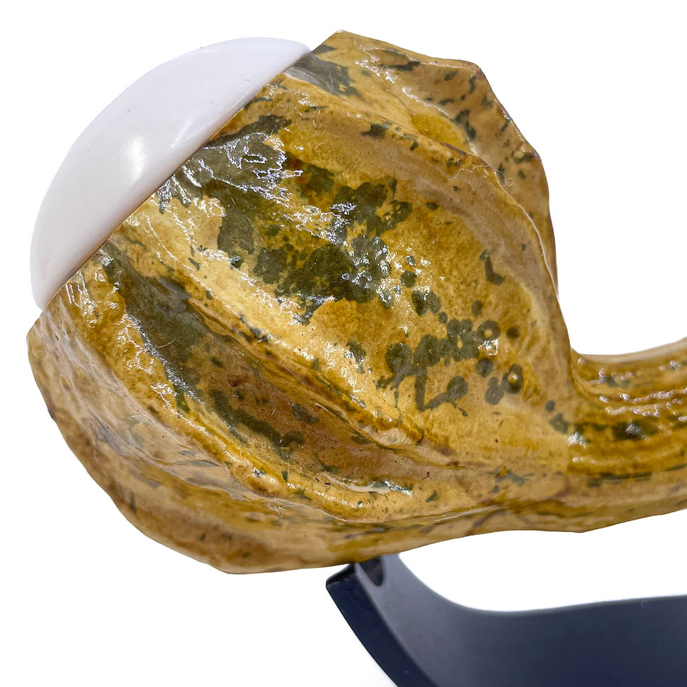 Thumbnail: Calabash