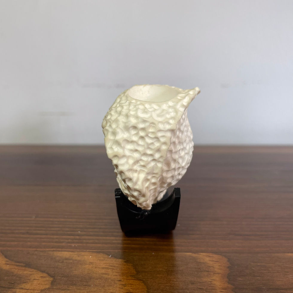 Thumbnail: Shell Design