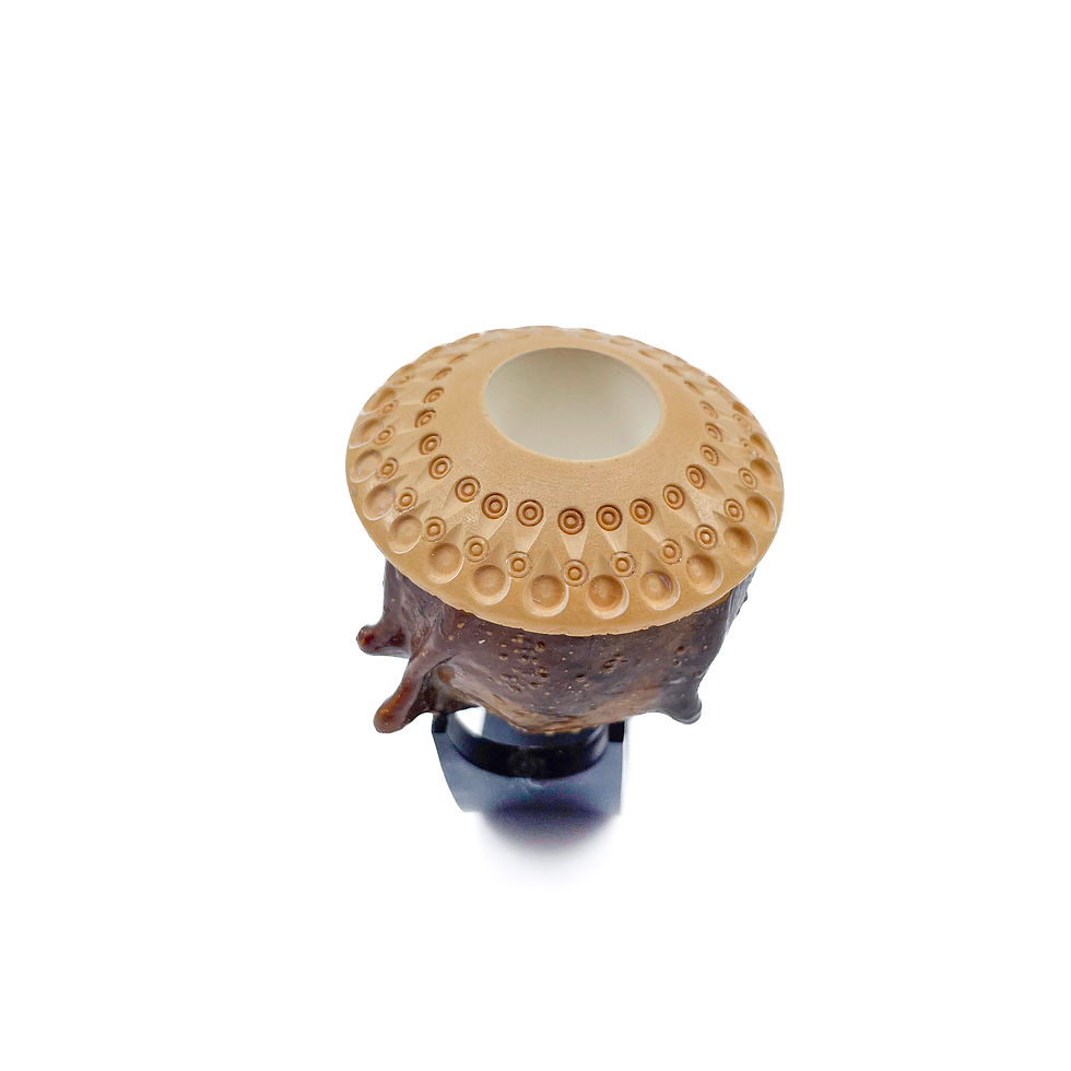 縮圖：Calabash