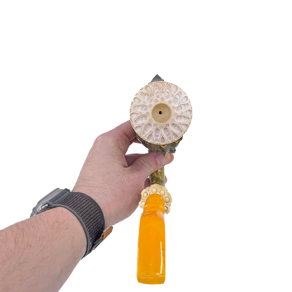 Thumbnail: Calabash