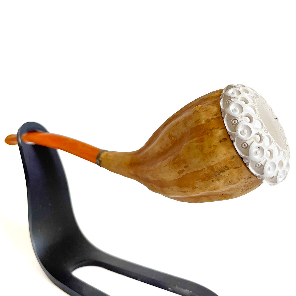 Thumbnail: Calabash