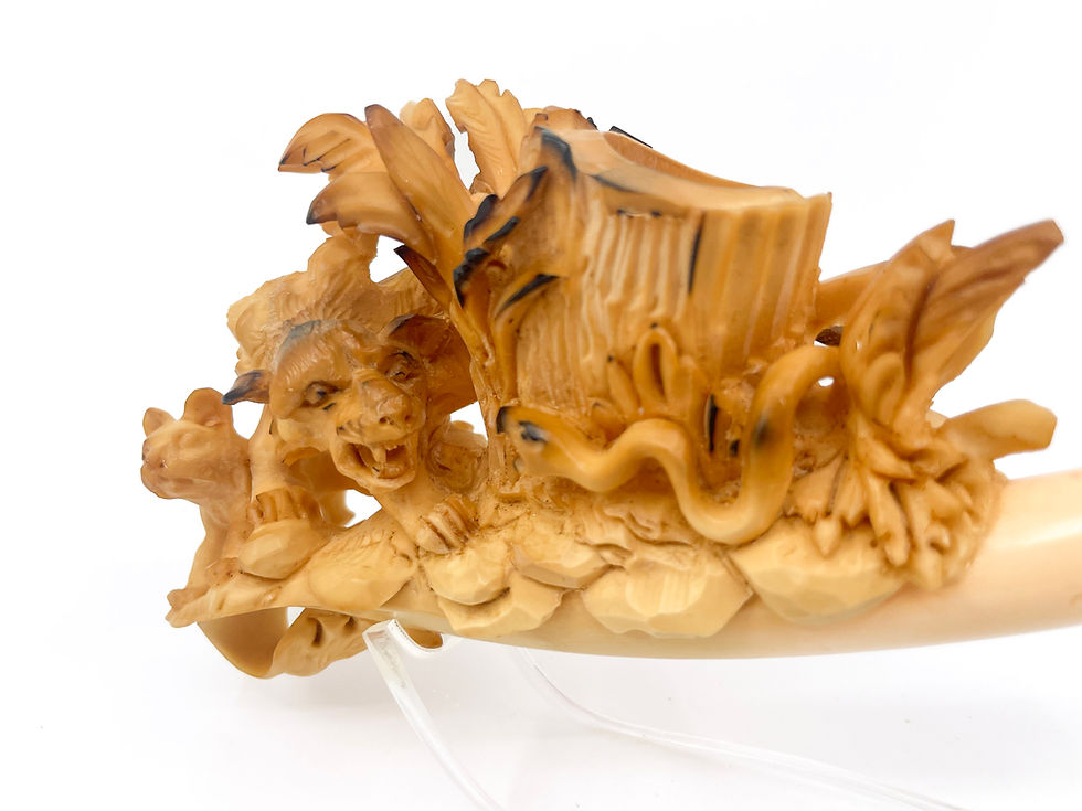 縮圖：Lion and Snake Fighting Scene