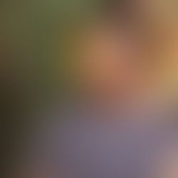 New Apprentice Folkbuilder Josh Webster of Alabama