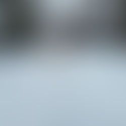 Monthly Food Pantry at Baldrshof