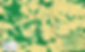 Mapa Pastagem