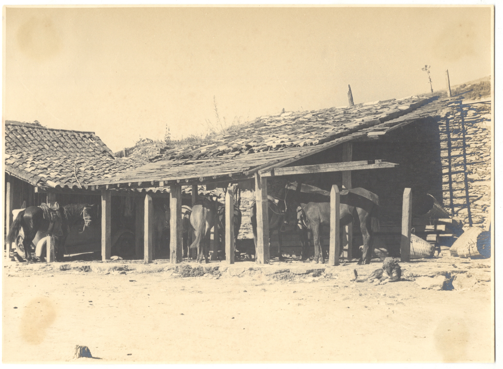 Rancho