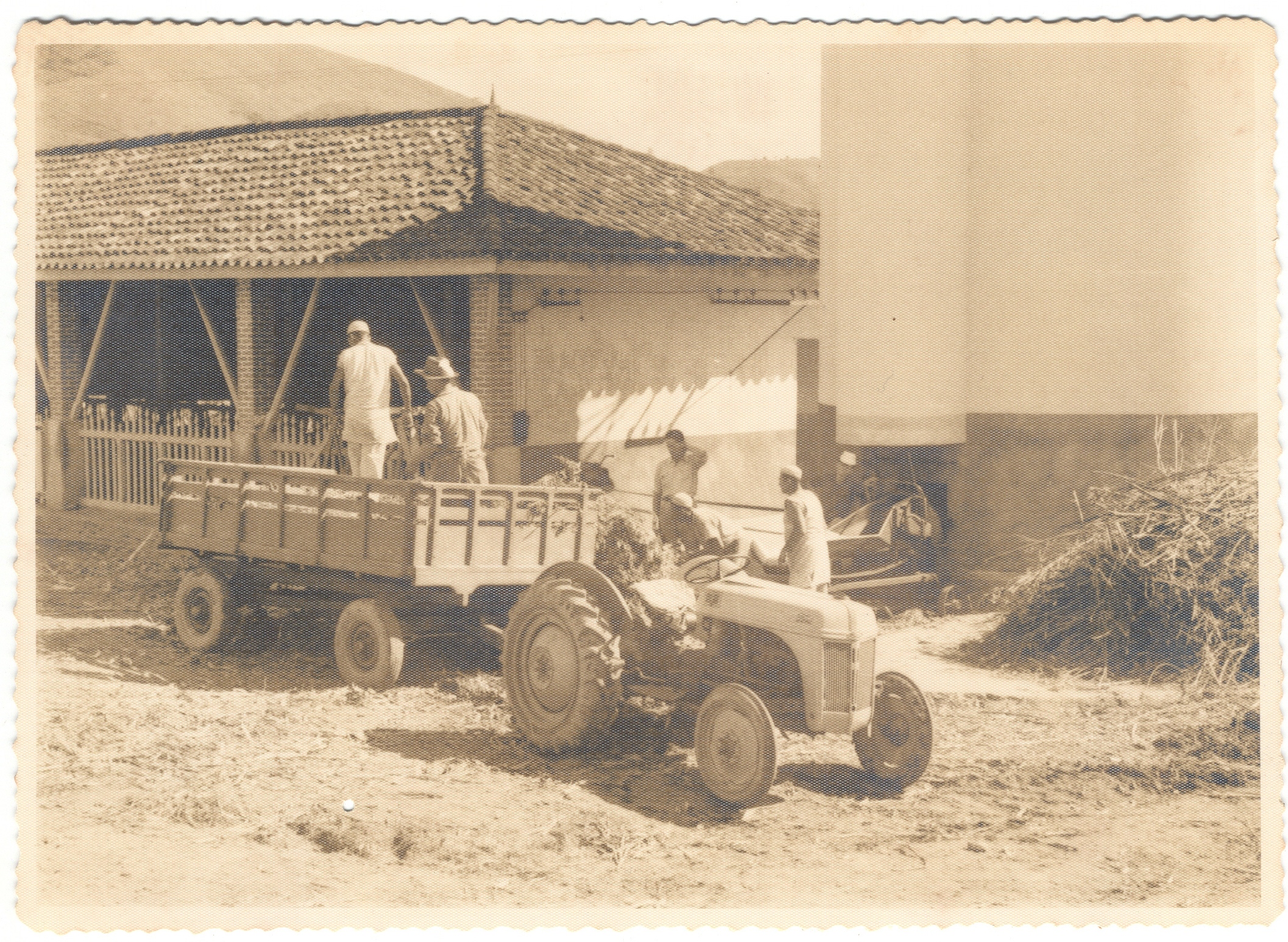 foto054-silo05