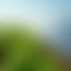 Ideias Sustentáveis no Agronegócio: Empreendimentos no Campo para um Futuro Melhor