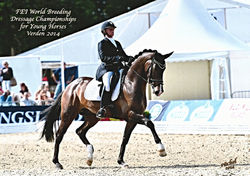 photo El Corona Verden-1_edited