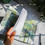 Thumbnail: Printed Journal - Green