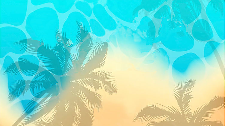 PANTALLA WIX FONDO MED.jpg