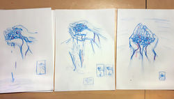studies