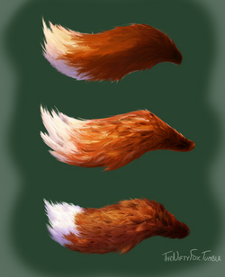 Fur studies