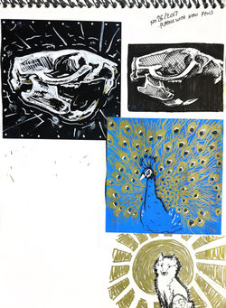 Experiments