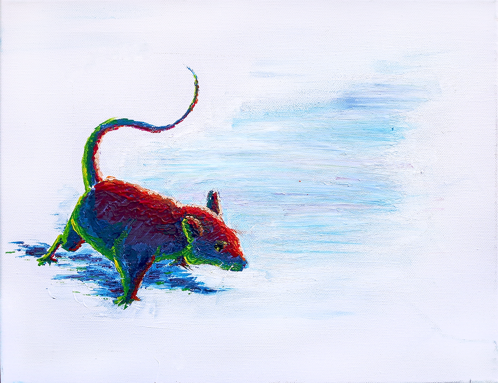 Disco Mouse