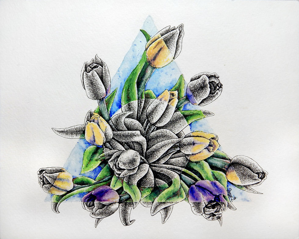 Tulips
