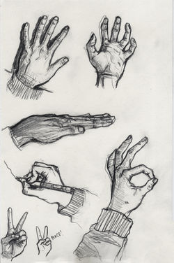 Hand Studies