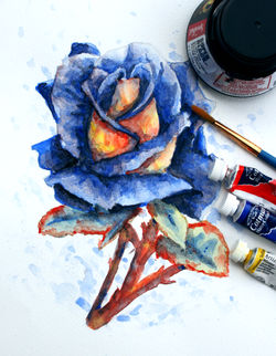 Watercolour rose
