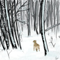 Picture sketch