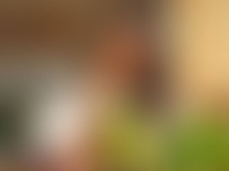 Recovering from anorexia or bulimia? Discover gentle, nutrient-dense solutions like smoothies, bone broth, zinc, and magnesium that rebuild your strength—without food anxiety or overwhelm.