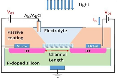 37 Electrochemical Field-Effect Transistor Utilization to Study the Coupling Success.png