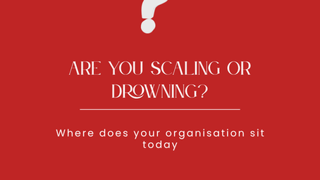 The Automation Gap 2026: Why Some Companies Are Scaling and Others Are Drowning
