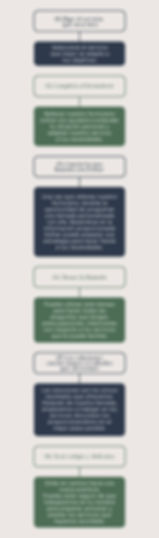 Proceso de trabajo de Kaki's Agency