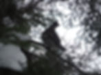 DSCF2841