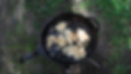 DSCF2921