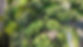 pexels-new-zealand-8968923.jpg