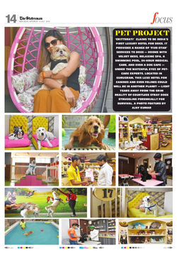 The Statesman Feature