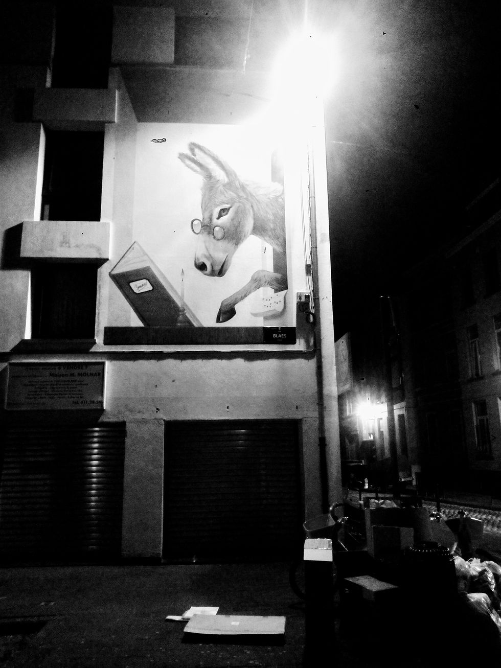 âne de la rue Blaes.jpg
