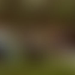 Who's who in the last two? | August 20, 2025