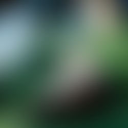 From fan fiction to film: How Perth's Edie found herself making music