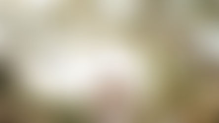 Insulting His Masterpiece