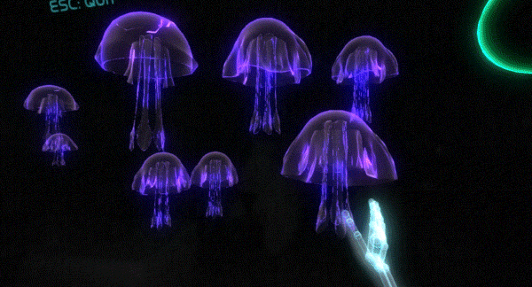 VR Rainbow Jellies
