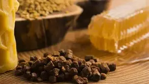 探秘亞馬遜森林，看古老部落如何自救？