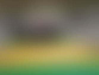 Inter-ligues cadets 1ère division