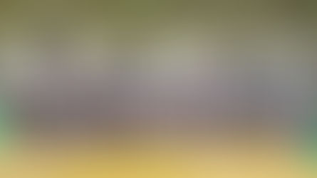 Stage de Judo à la Maison du Judo