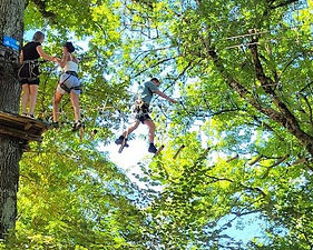accrobranche grand serre drv 28 06 25 belle image arbre complet 2_edited.jpg